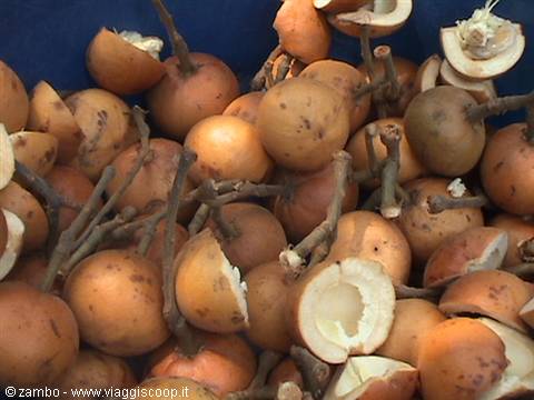 Frutta locale
