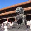  CINA 