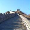  CINA 