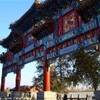  CINA 