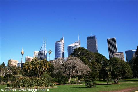 Sydney Skyline