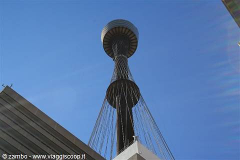 Sydney Tower