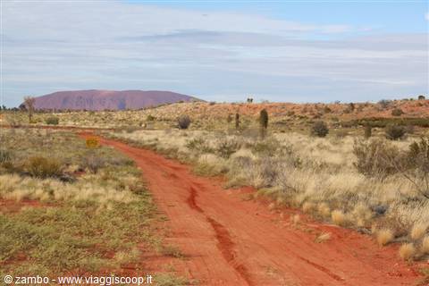 All'orizzonte...Ayers Rock