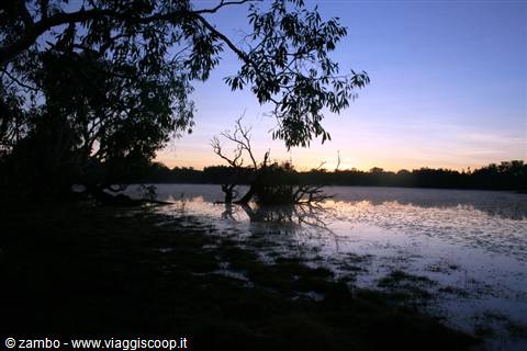Alba al Kakadu