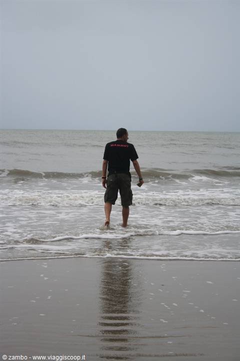 Cape tribulation