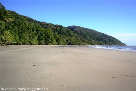 Cape Tribulation