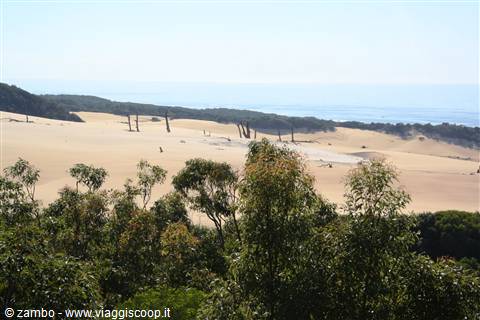 Fraser Island