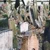 Cimitero Ebraico REPUBBLICA CECA 