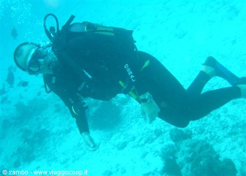 Claudio Diver.....alla scoperta degli abissi