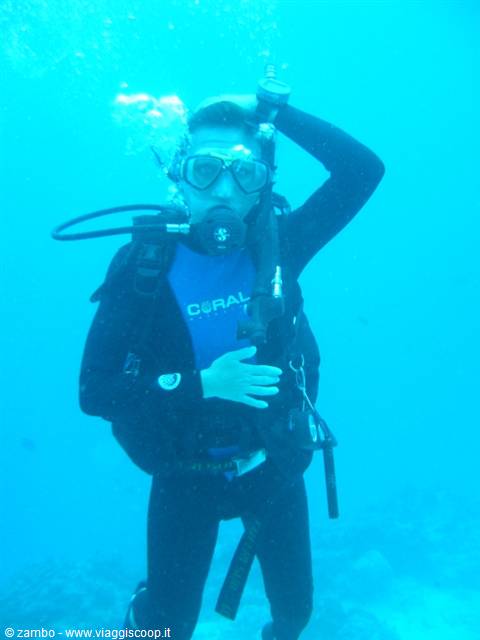 Veronica .... Diver....