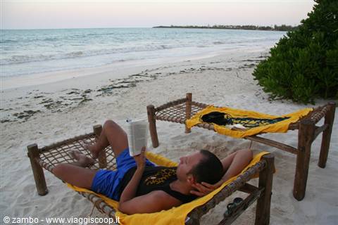 Pongwe: Il relax ritrovato....