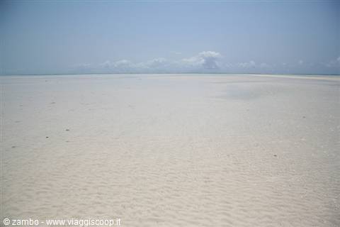 Paradiso....???