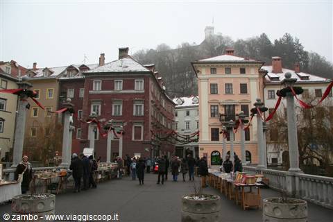 INASPETTATAMENTE SLOVENIA