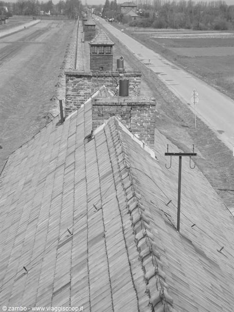 foto in bianco e nero