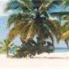Spiaggia Saona REPUBBLICA DOMINICANA 