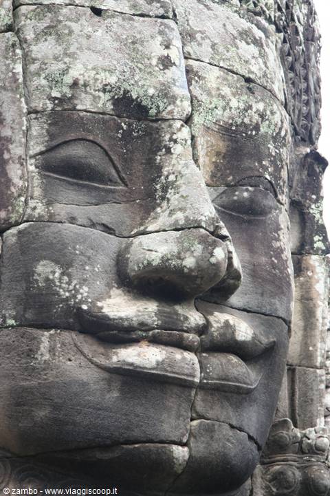 CAMBOGIA