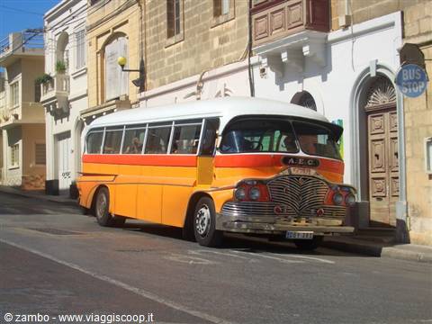 BUS