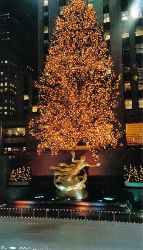 Christmass Tree