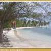 Nicola si dondola e gongola all'Isla Saona ;o) REPUBBLICA DOMINICANA 