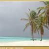 Può pure piovere ma Isla Saona rimane splendida REPUBBLICA DOMINICANA 