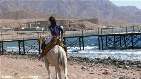 Sinai