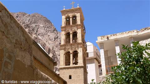 Curiosando sul Sinai