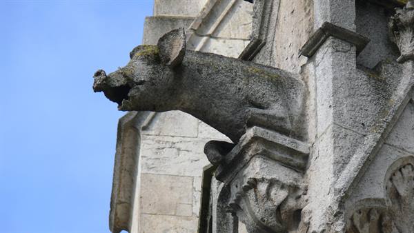 Guardiano cattedrale