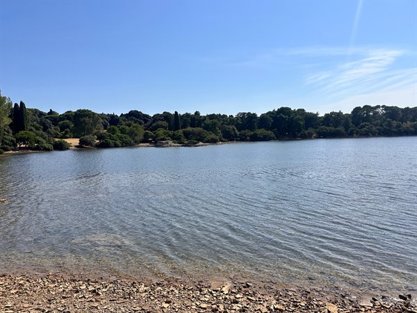 Acque tranquille e cielo azzurro: una pausa di pace in riva al lago.