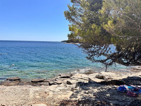 Un tuffo nelle acque turchesi della Dalmazia, pomeriggio di pura pace.