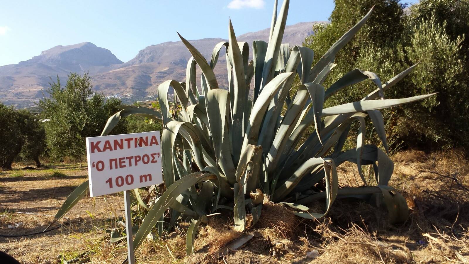 A cento metri dalla cantina 