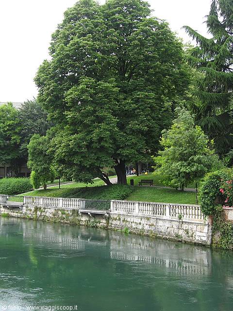 il parco di treviso