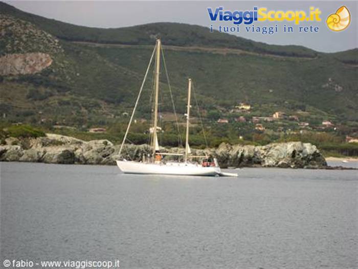altre barche all'elba
