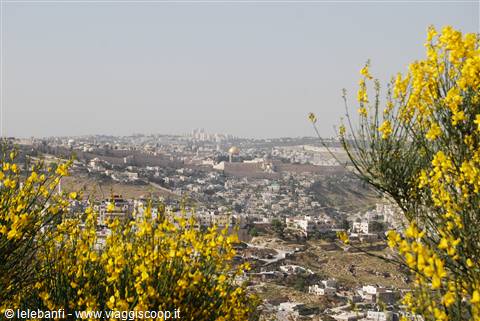 Gerusalemme - Panorama