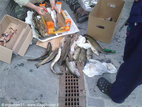 dopo una giornata di pesca