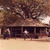 Kruger national park SUD AFRICA 