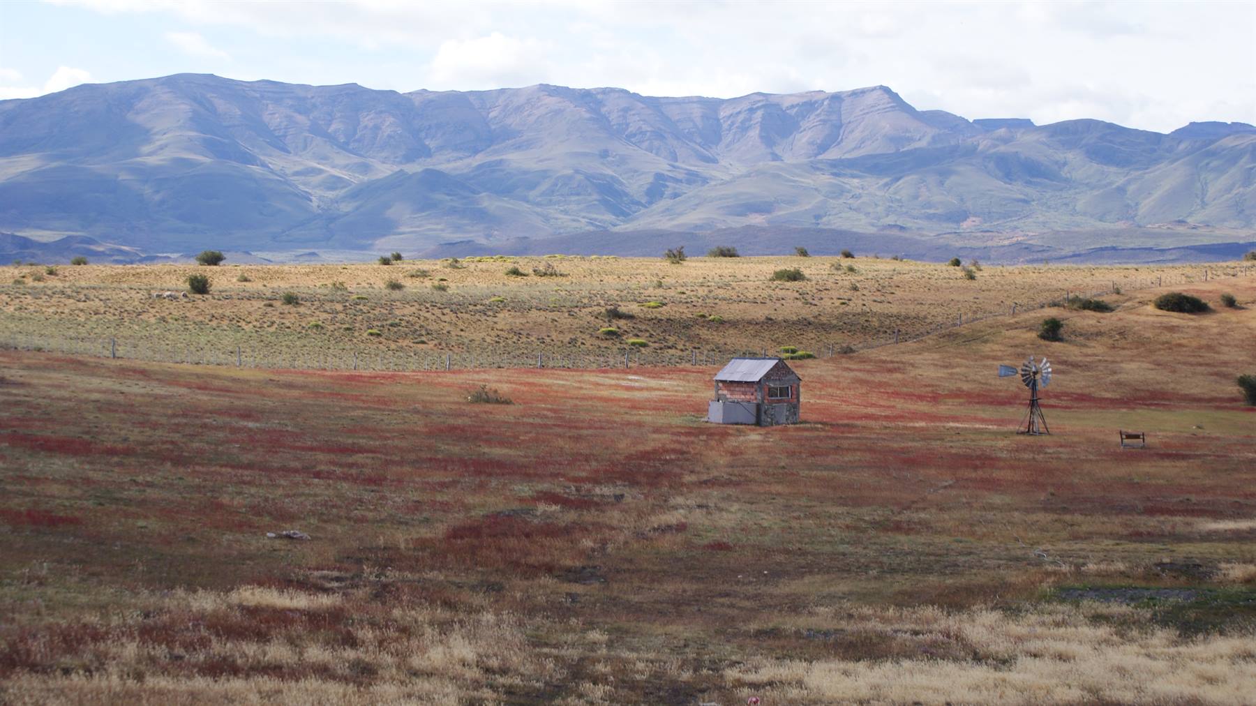 Foto di viaggio in ARGENTINA