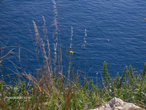 la riserva dello zingaro sicilia