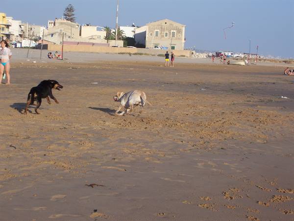 SICILIA 2005