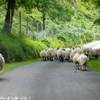 Skye island REGNO UNITO 