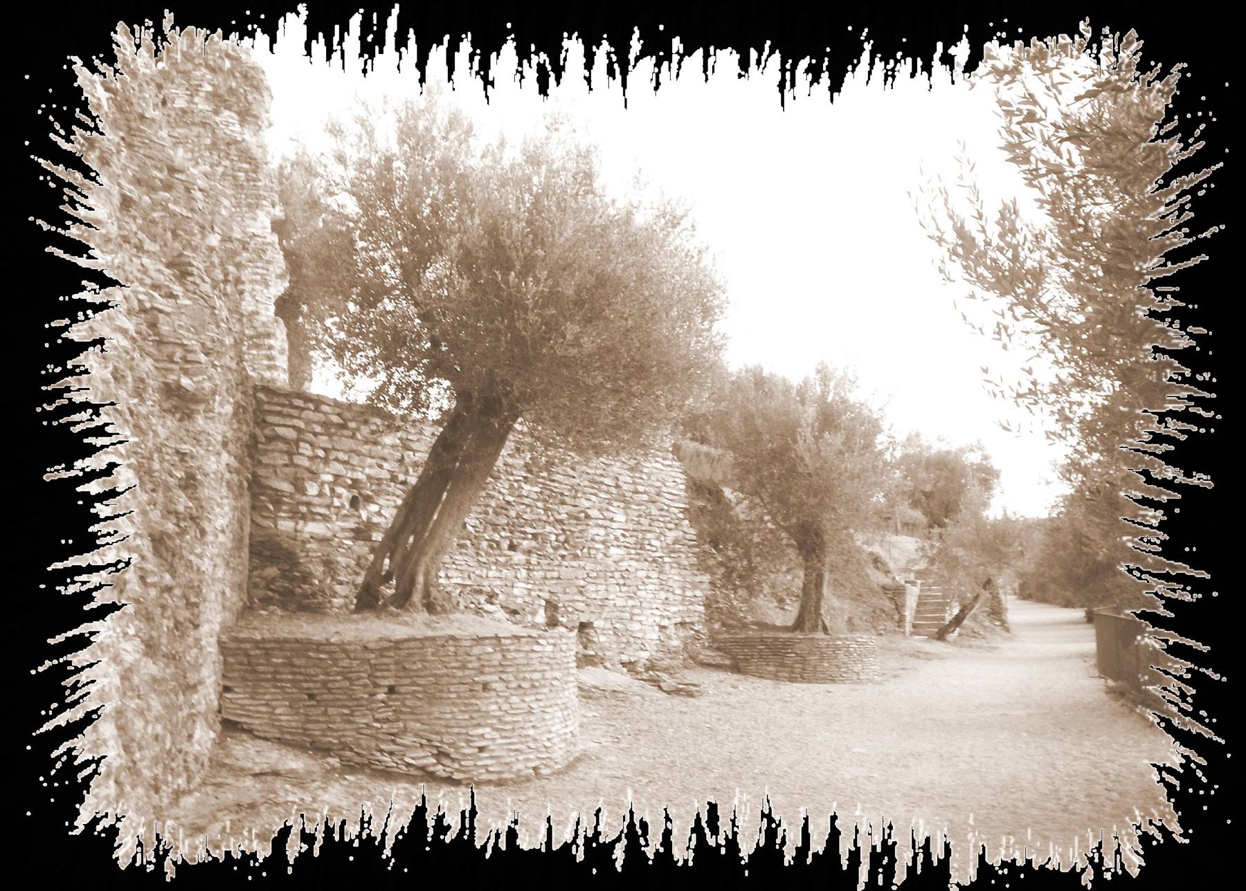 Foto di viaggio in ITALIA