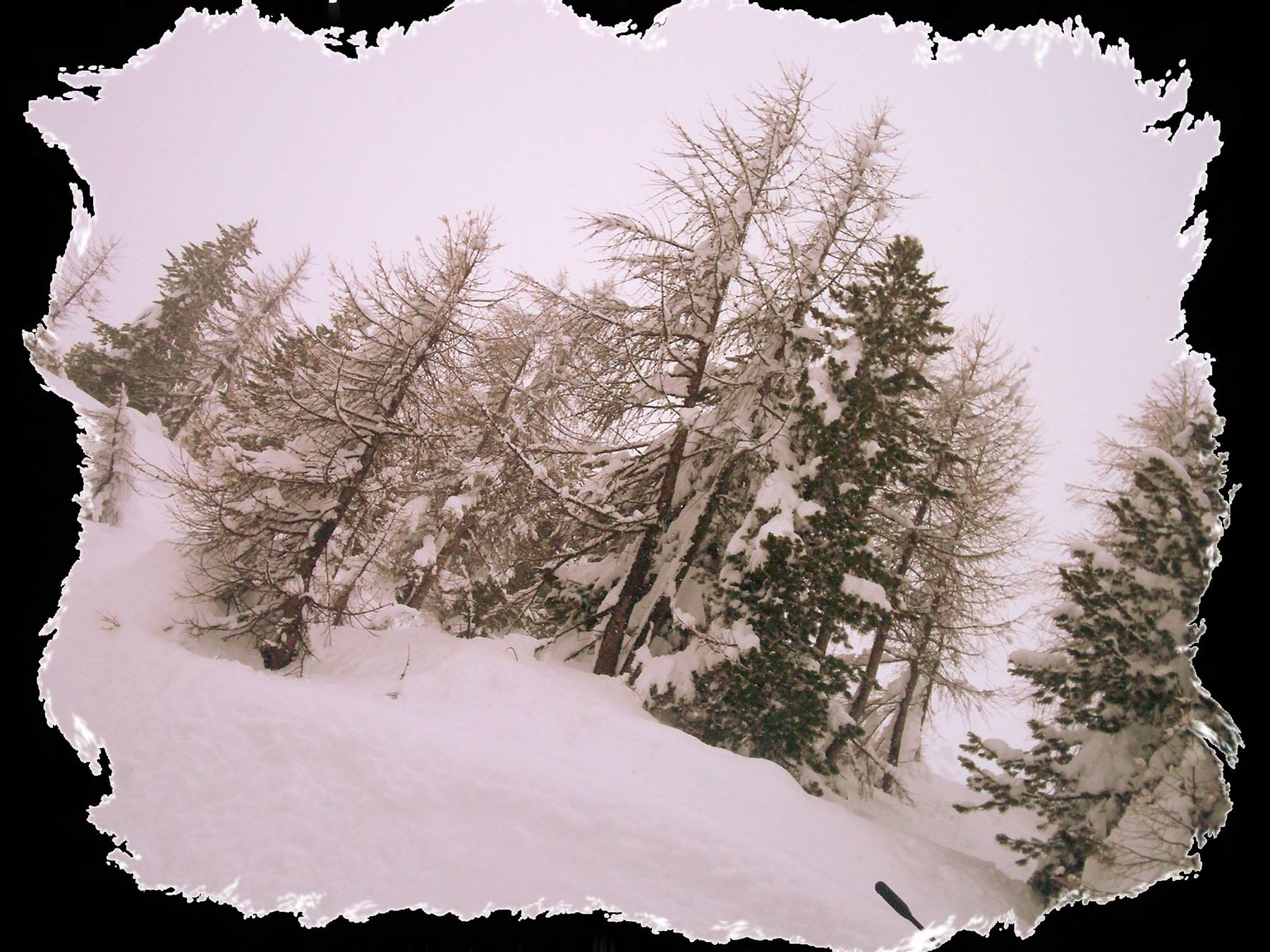Livigno