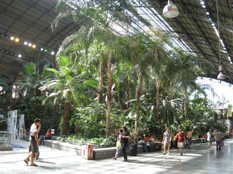 madrid stazione atocha