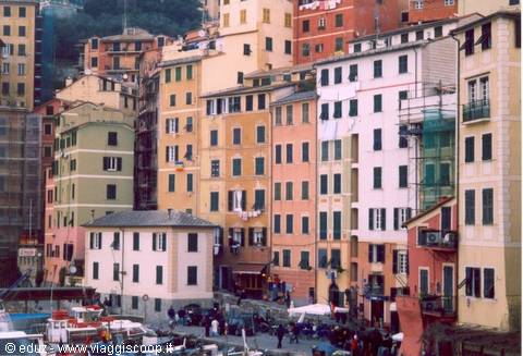 Camogli - Le tipiche case colorate