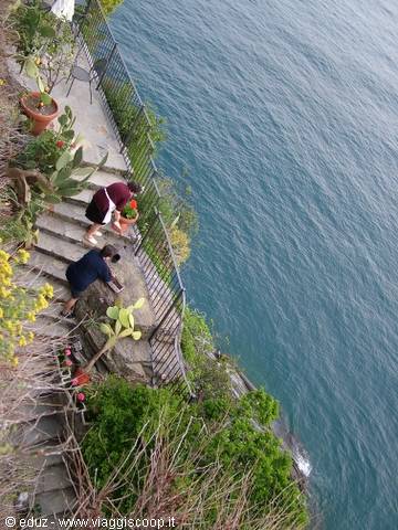 Vernazza - Donne al lovoro a picco sul mare