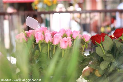 Mercato dei Fiori