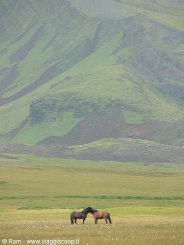 Vik