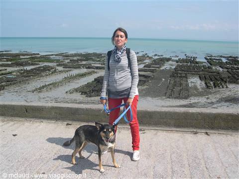 I MIEI MITICI COMPAGNI DI AVVENTURA, E SULLO SFONDO ALLEVAMENTI DI OSTRICHE (BRETAGNA)