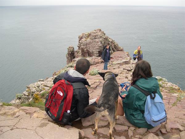 SULLA VETTA DELLA SCOGLIERA DI CAP FREHEL (BRETAGNA)