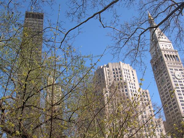 PANORAMA DAL CENTRAL PARK