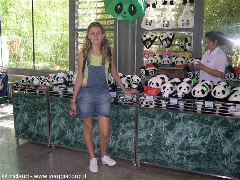 VALENTINA E UN "ALLEVAMENTO" DI PANDA